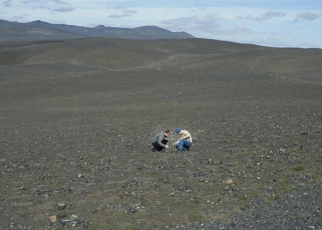 DSC-7497.jpg